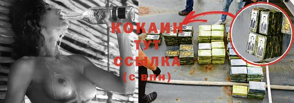 крисы Аркадак
