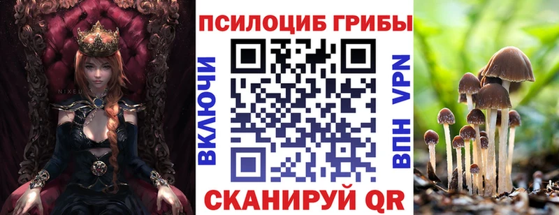 наркотики  Валдай  Псилоцибиновые грибы ЛСД 